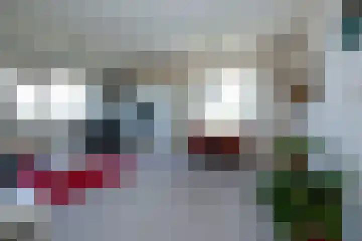 De Loet 74 Castricum thumbnail 20