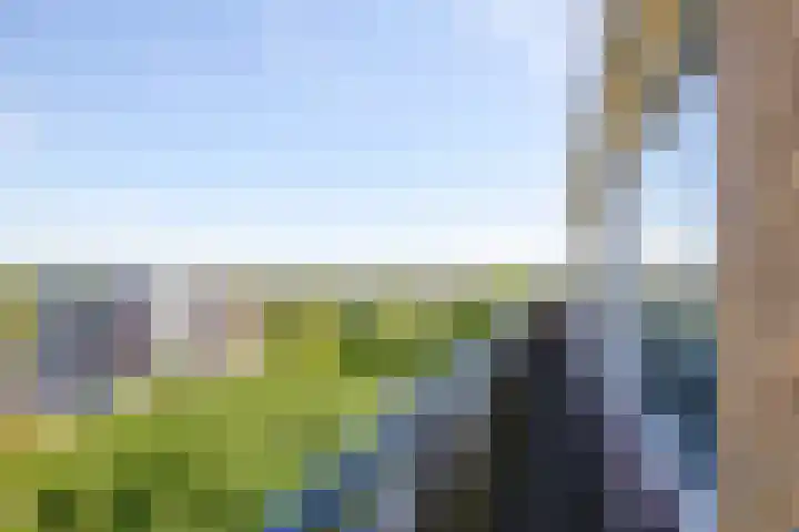 De Loet 74 Castricum thumbnail 31