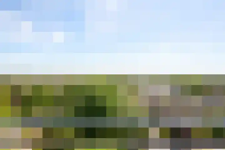 De Loet 74 Castricum thumbnail 32