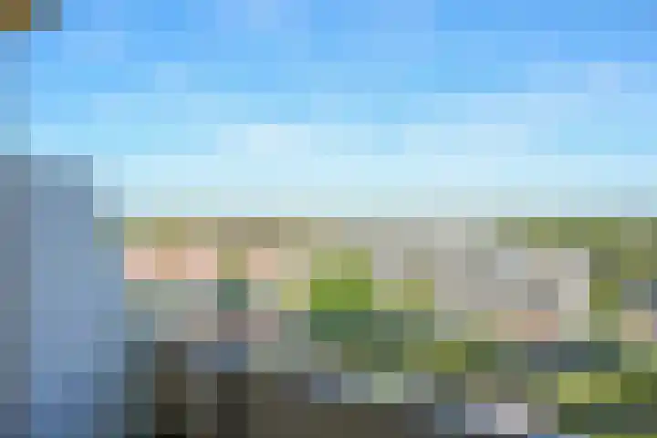 De Loet 74 Castricum thumbnail 33