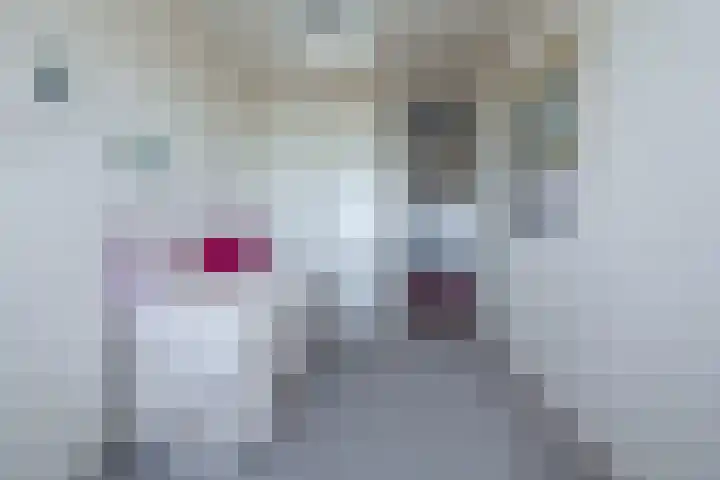 De Loet 74 Castricum thumbnail 41