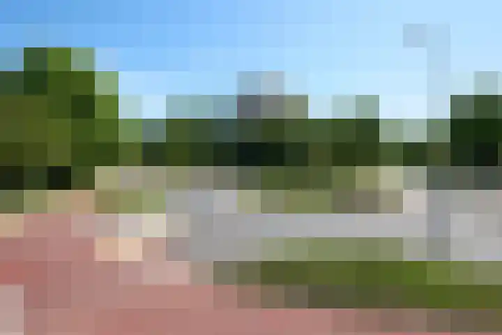 De Loet 74 Castricum thumbnail 8