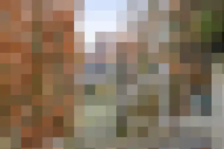 De Loete 19 Pijnacker thumbnail 10