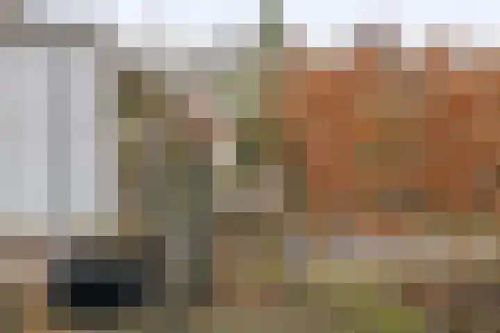 De Loete 19 Pijnacker thumbnail 11