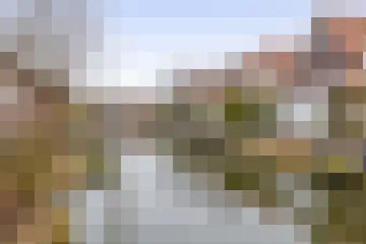 De Loete 19 Pijnacker thumbnail 12