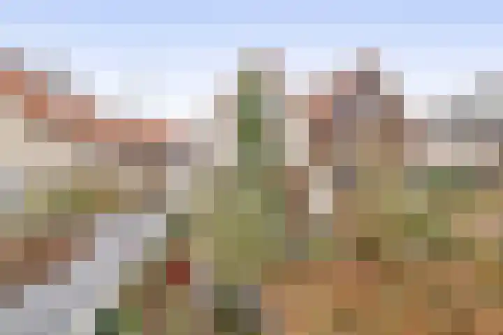 De Loete 19 Pijnacker thumbnail 14