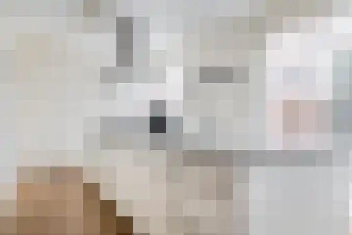 De Loete 19 Pijnacker thumbnail 16