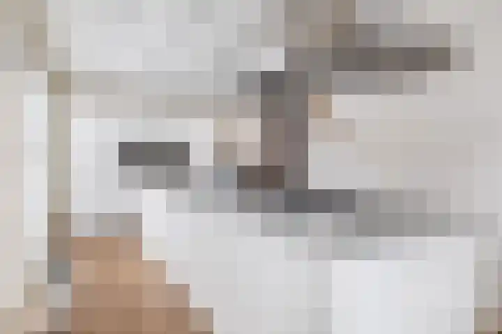 De Loete 19 Pijnacker thumbnail 18