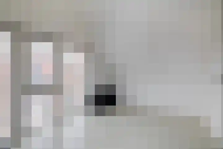 De Loete 19 Pijnacker thumbnail 32