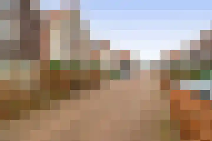 De Loete 19 Pijnacker thumbnail 37