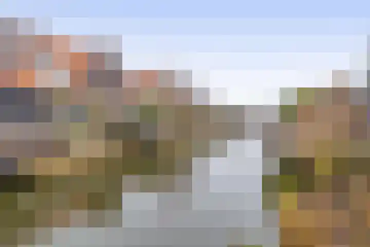 De Loete 19 Pijnacker thumbnail 40