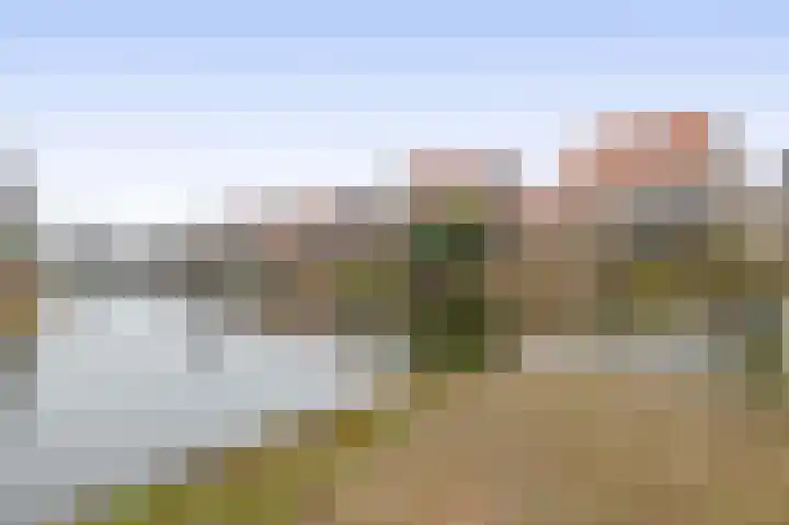 De Loete 19 Pijnacker thumbnail 43