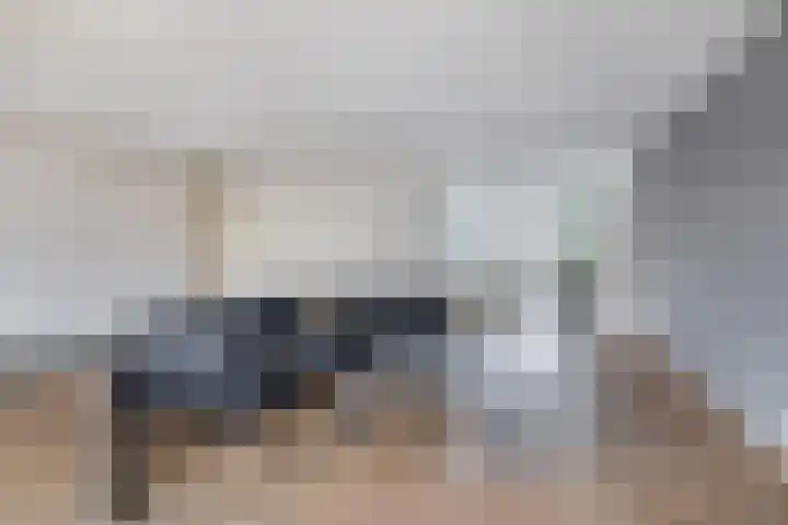 De Loete 19 Pijnacker thumbnail 5