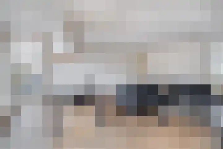 De Loete 19 Pijnacker thumbnail 6