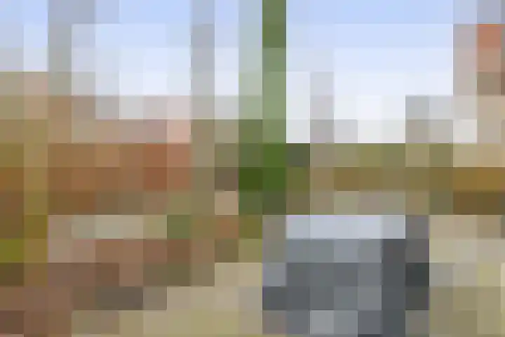 De Loete 19 Pijnacker thumbnail 8