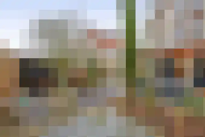 De Loete 19 Pijnacker thumbnail 9