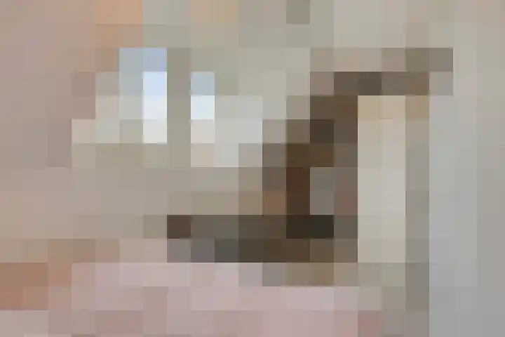 De Loete 22 Pijnacker thumbnail 18