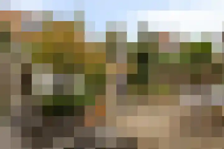 De Loete 22 Pijnacker thumbnail 25