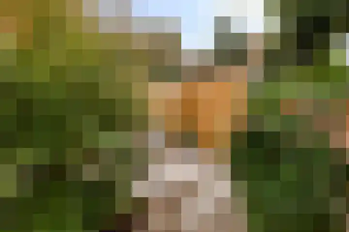 De Loete 22 Pijnacker thumbnail 27