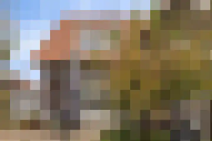 De Loete 22 Pijnacker thumbnail 28