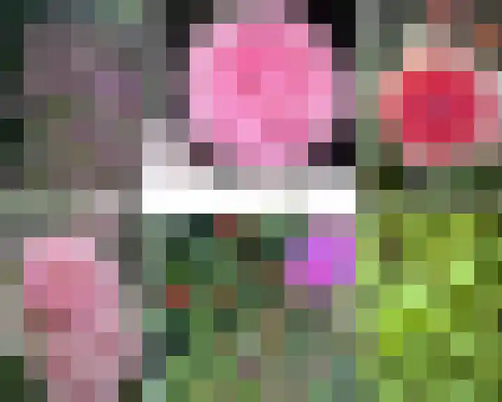 De Loete 22 Pijnacker thumbnail 30