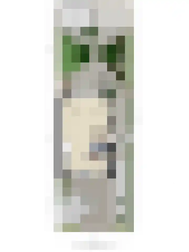 De Loete 22 Pijnacker thumbnail 38