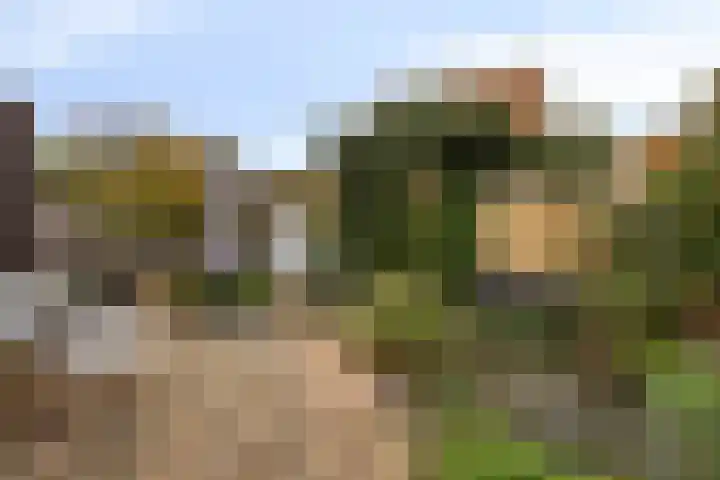 De Loete 22 Pijnacker thumbnail 4