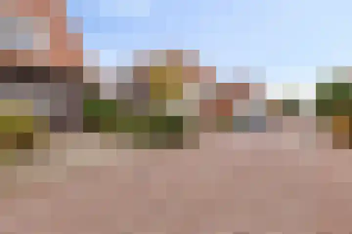 De Loete 22 Pijnacker thumbnail 7