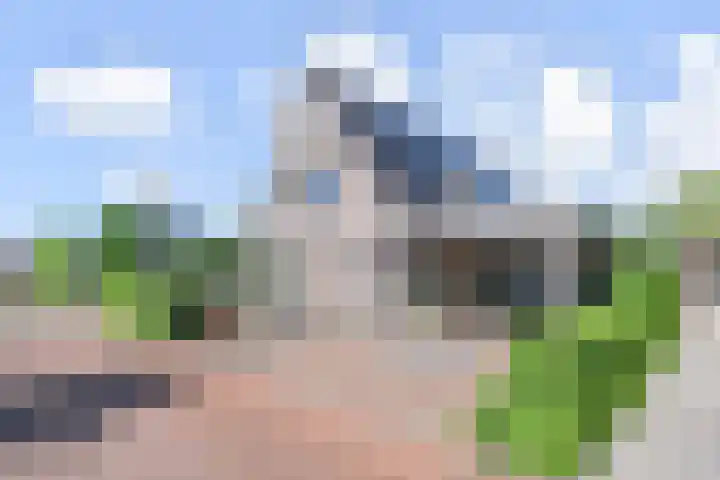 De Loete 52 Pijnacker