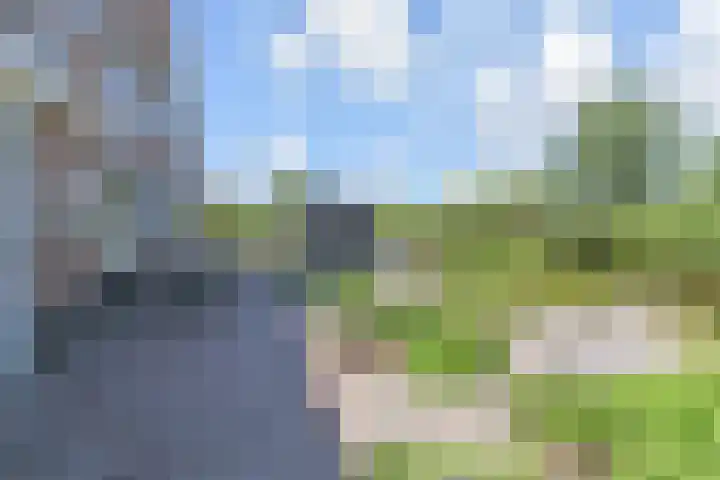 De Loete 52 Pijnacker thumbnail 36
