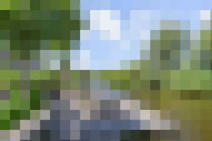 De Loete 52 Pijnacker thumbnail 38
