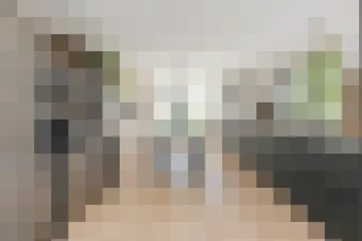 De Loete 52 Pijnacker thumbnail 4