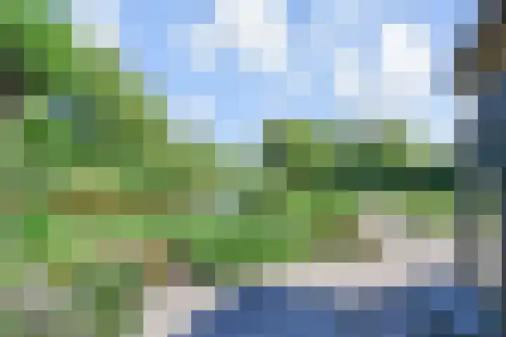 De Loete 52 Pijnacker thumbnail 42
