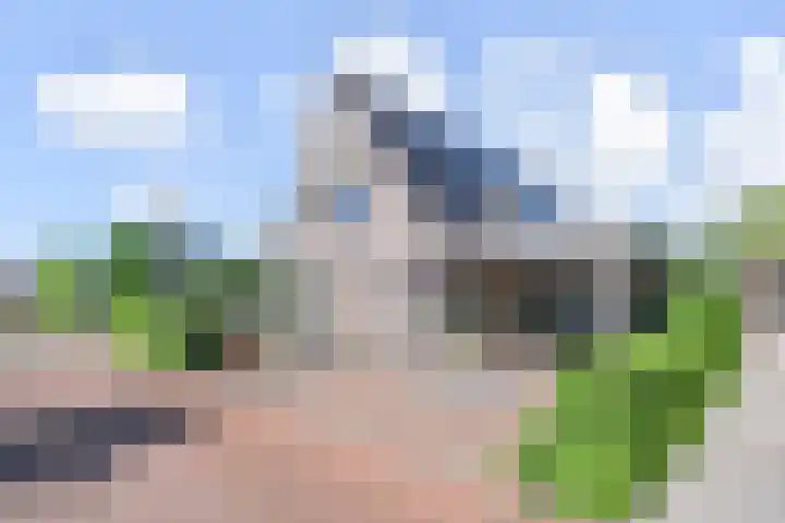 De Loete 52 Pijnacker thumbnail 58