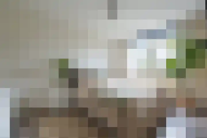 De Looch 56 Vianen thumbnail 13
