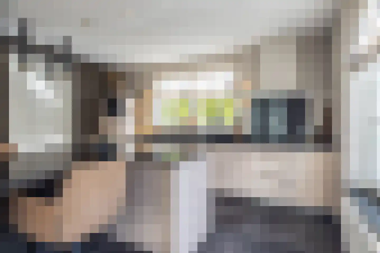 de Loonwerker 5 Leende thumbnail 12