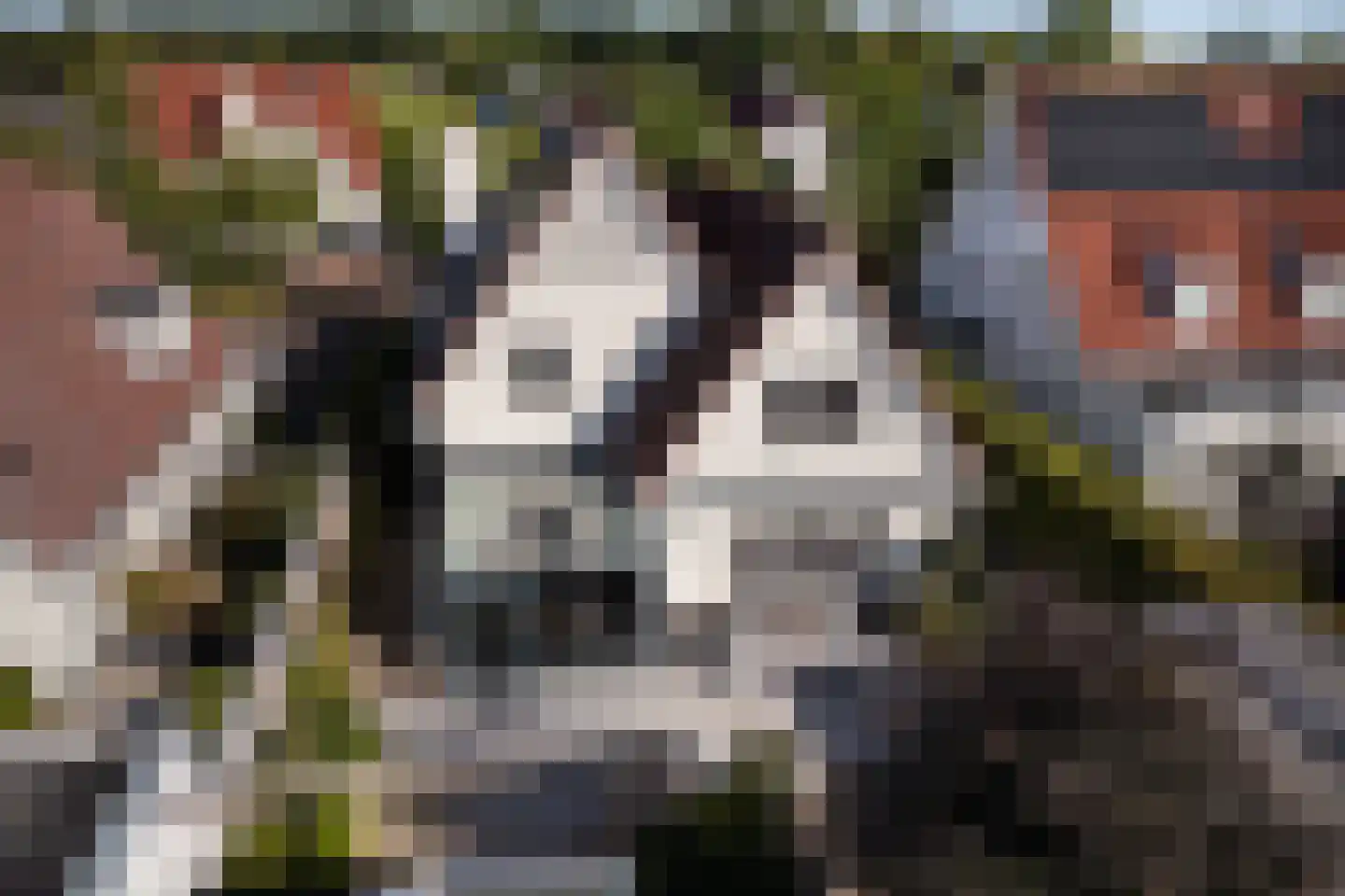 de Loonwerker 5 Leende thumbnail 27