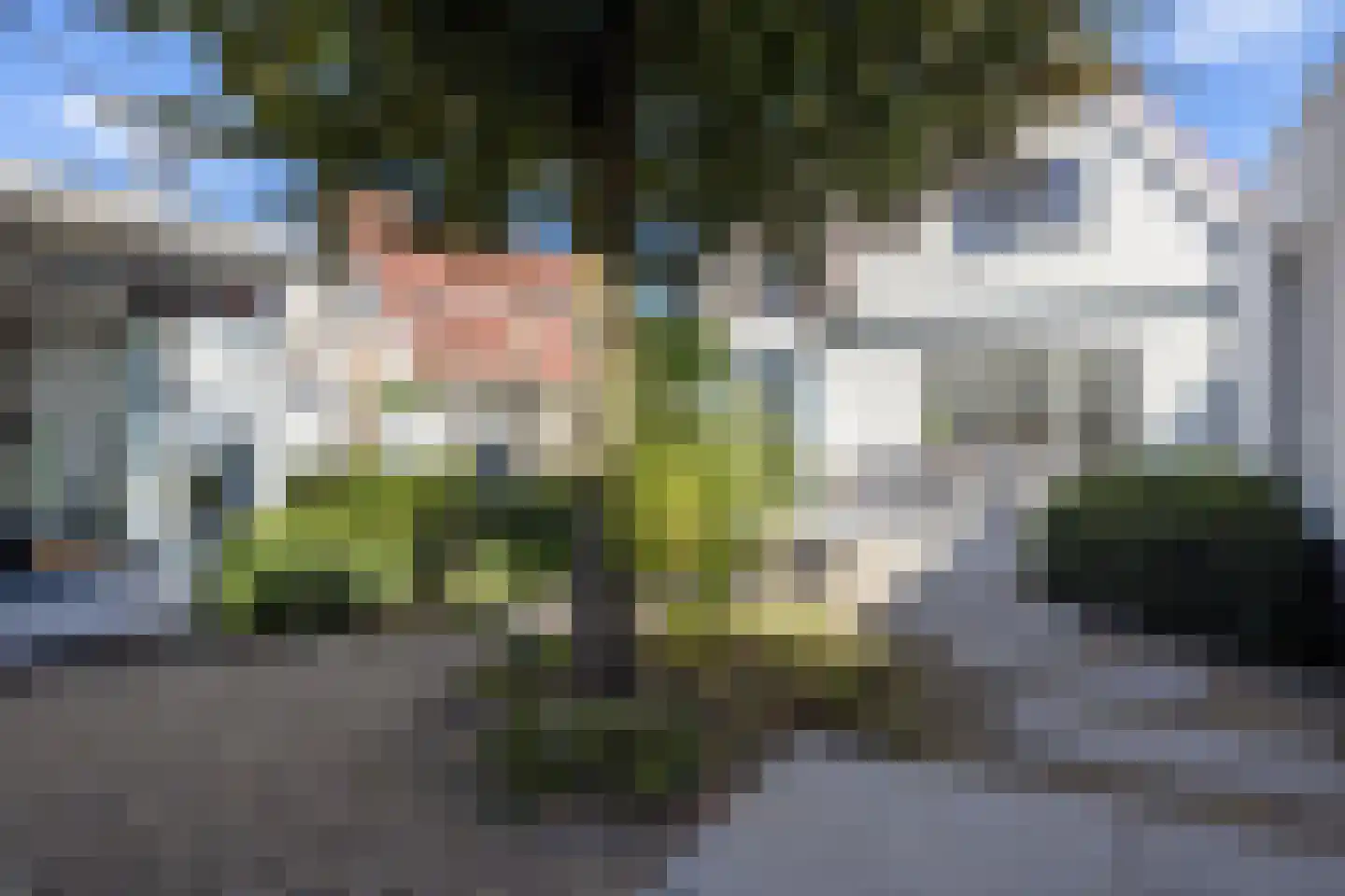 de Loonwerker 5 Leende thumbnail 29