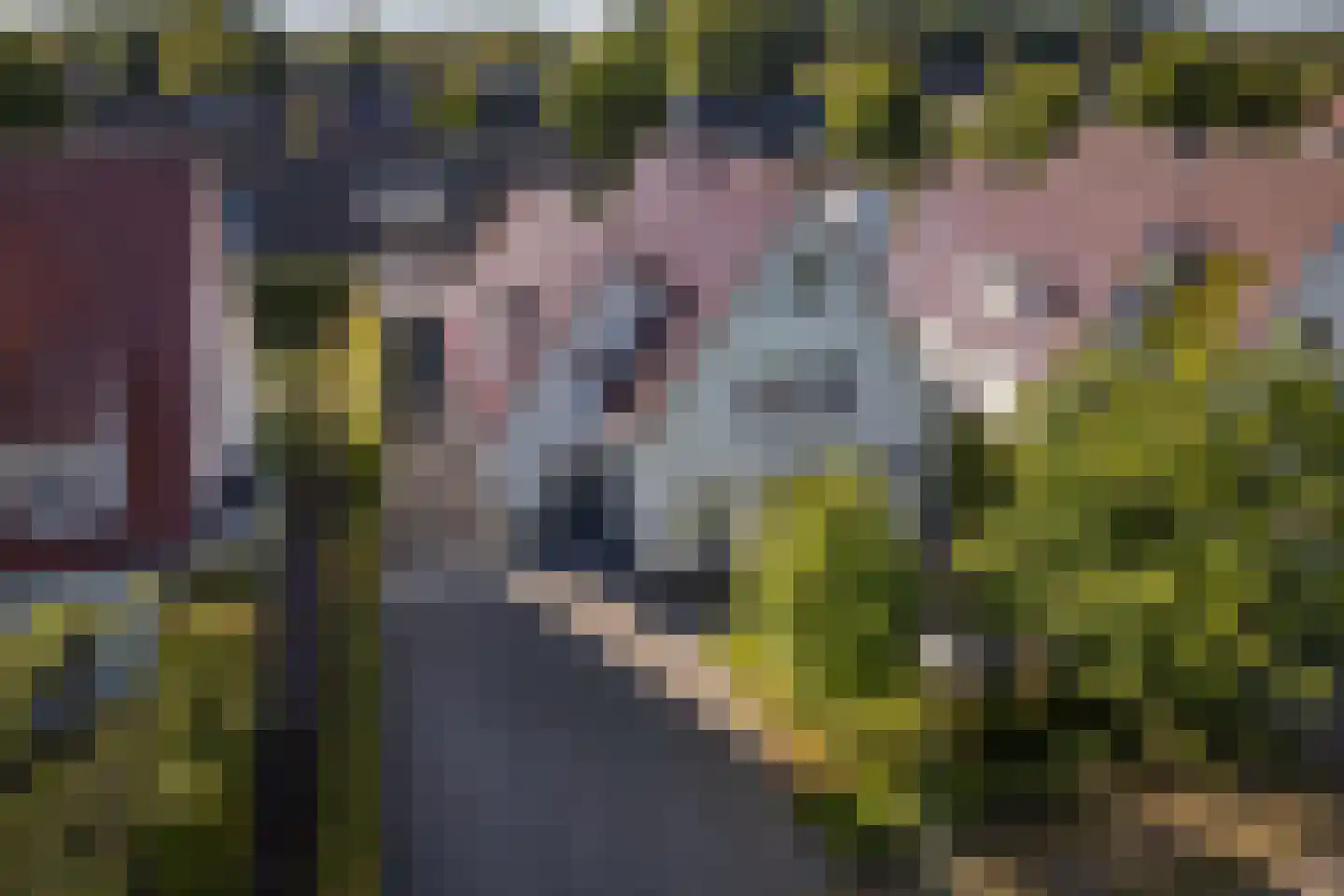 de Loonwerker 5 Leende thumbnail 36