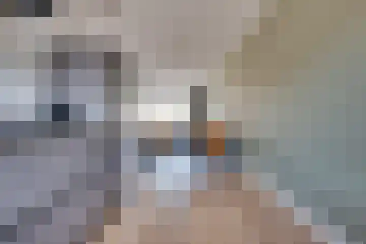 De Loop 13 Vinkel thumbnail 11