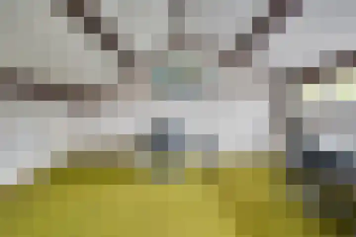 De Loop 16 Veldhoven thumbnail 24