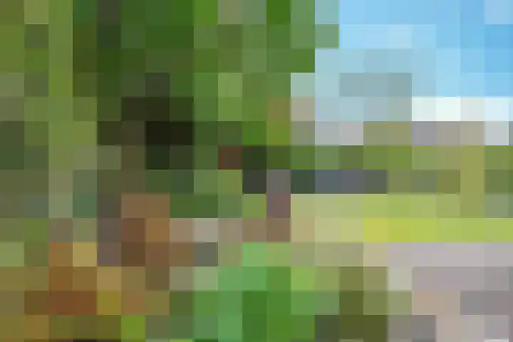 De Loop 16 Veldhoven thumbnail 30