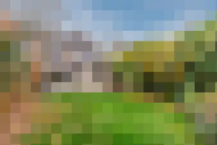 De Loop 18 Veldhoven thumbnail 4
