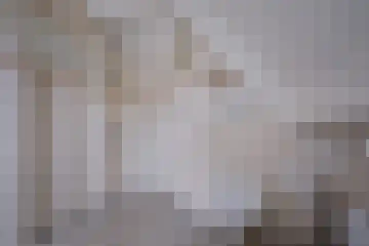 De Loop 2 Veldhoven thumbnail 32