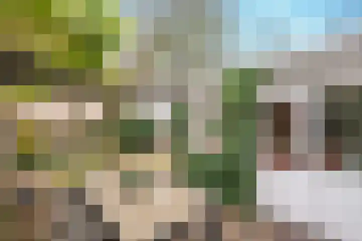 De Loop 2 Veldhoven thumbnail 32