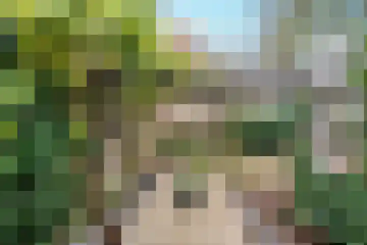 De Loop 2 Veldhoven thumbnail 33