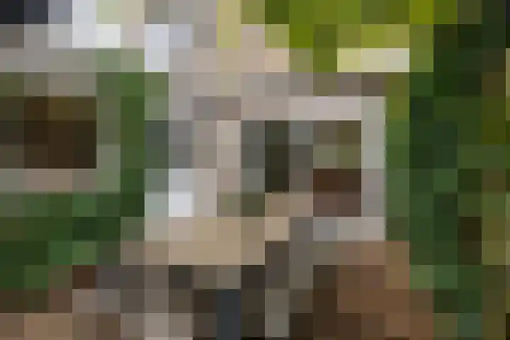 De Loop 2 Veldhoven thumbnail 34