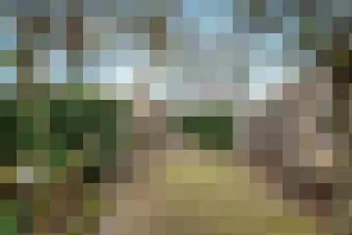 De Loop 2 Veldhoven thumbnail 36