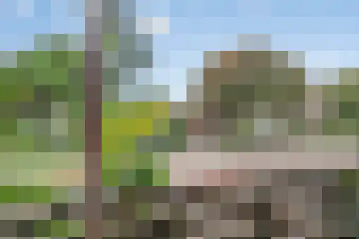 De Loop 9 Veldhoven thumbnail 34
