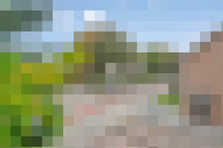 De Loop 9 Veldhoven thumbnail 35